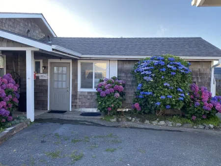 Nice studio right by the ocean