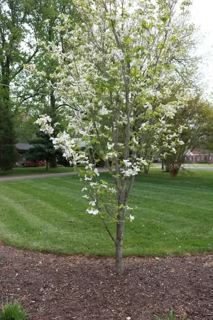 Sophisticated Studio in the ‘Boro Отели рядом с достопримечательностью «Greenway Trailhead»