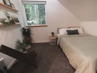 Green Cabin - Hot tub, EV, Fire Pit, Hammock Hotels in Ashford