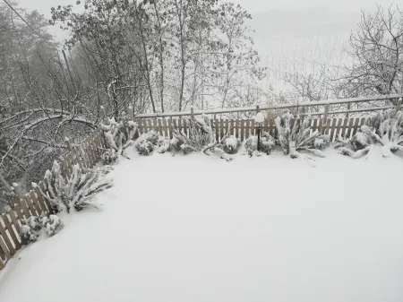 Lavender and Rosemary cottage Отели рядом с достопримечательностью «Chiesa San Felice Da Nola»