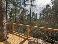Escape to the Canopy: Enchanting Treehouse Retreat in the Heart of Nature Hotels in Mount Olive