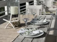 End-of-Season Deals - Now More Affordable Pet-Friendly!