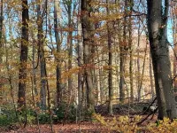 Gemütliche Wohnung im Nationalpark Eifel mit Outdoor Wellnessbereich Hotels in Mechernich