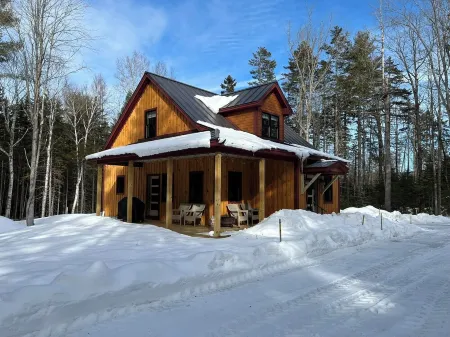 Cozy cabin nestled in the woods, 5 minutes to Sunapee Mountain & lake!