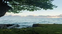 Oceanfront Beach House in Paradise Hotels in Hauula