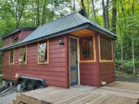 Tiny bungalow secluded in the woods with lake view.  Pets accepted!