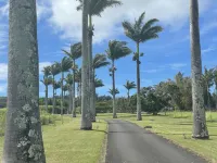 Private Banana Tree Cottage with Ocean Views