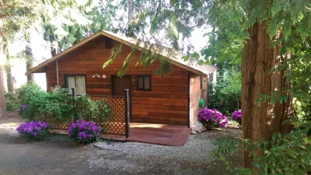 No Better View of the Olympics (near Alderbrook Resort)