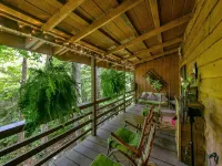 PRIVATE MOUNTAIN COUPLES GETAWAY. 16 MI TO ASHEVILLE. CREEK, HOT TUB, FIREPLACE