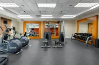 Hilton Garden Inn Mobile West I-65/Airport Blvd. - Gym