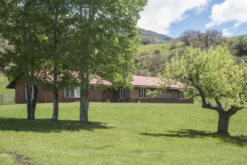 Homestead on the Frying Pan River, An Outdoor Enthusiasts' Dream!