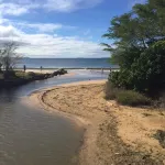 Kanai a Nalu 401 - 距水邊20英尺 - 海濱 - 兩間海景卧室民宿 - 沙灘