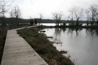 Waterfront Sunset Nature Reserve Kayak Eagle Osprey Snakehead Butterflies