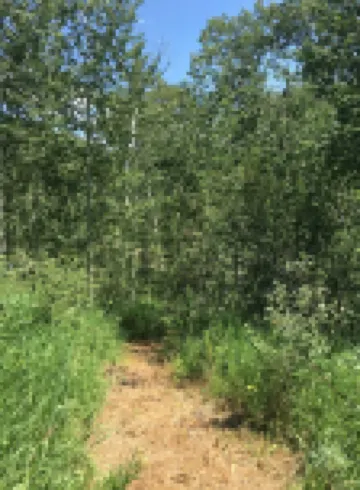 Beautiful upscale retreat for travelers who value beauty and seclusion.