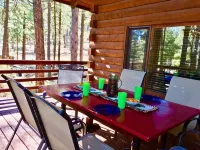 Log Cabin in tall pines, backs to forest, great hiking, star-gazing, biking!