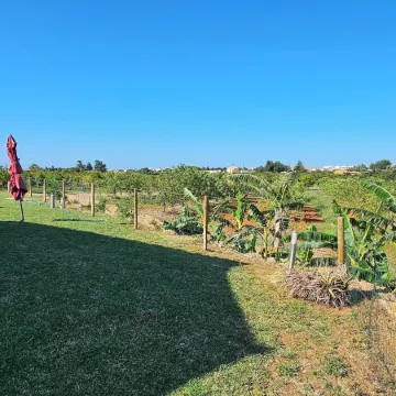Quinta da Bornacha - Casa B e Casa C