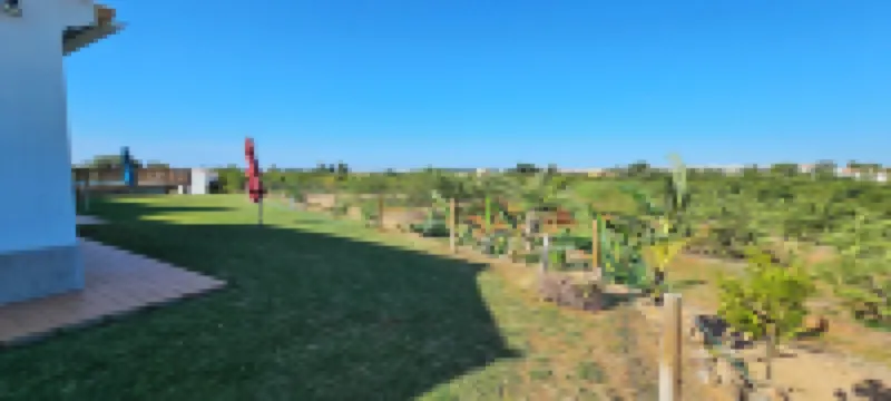 賓塔達博爾納查