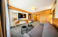 Harmony Hotel Hotels in Špindlerův Mlýn