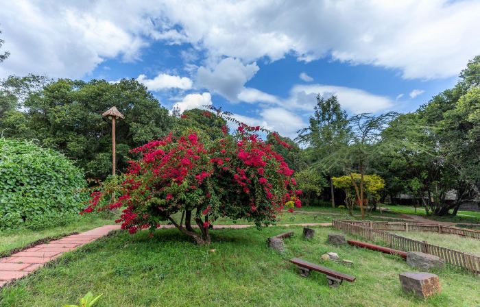 Mara Chui Eco-Resort