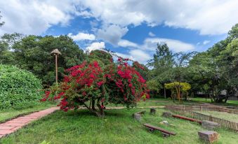 Mara Chui Eco-Resort