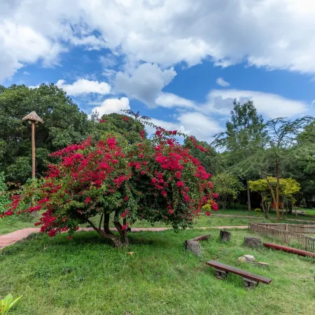 Mara Chui Eco-Resort