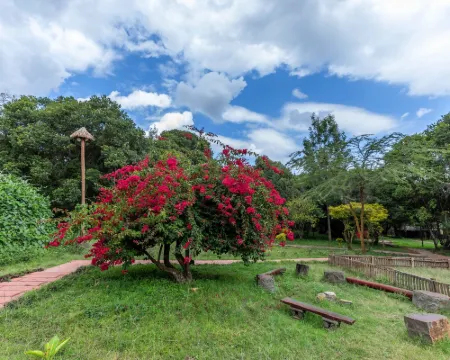 Mara Chui Eco-Resort Hotels in Mara