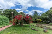 Mara Chui Eco-Resort Hotel di Mara
