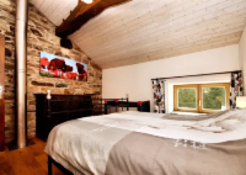 Forest-Edge Stay, Burtonville