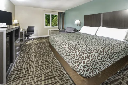 布里奇普安特套房飯店