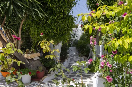 Ricos Two Bedroom House - Naoussa Paros