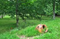 Room-Vale Martinho Oriental - Paradise I Hotels in Tondela