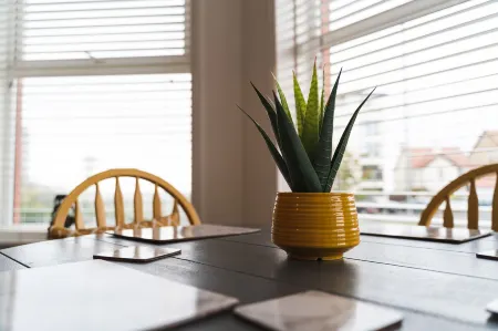 Beachmount Holiday Apartments