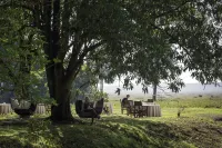 Governors' Camp Hotels near MARA ECHO CLIFF CAMP