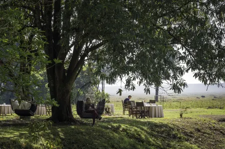 Governors' Camp Отели рядом с достопримечательностью «Mara Triangle»