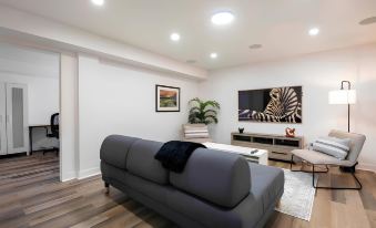 Cheerful and Modern