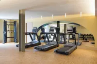 Meravia Leonardo Limited Edition - Adults Only - Gym