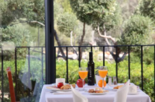 Ca's Garriguer Hotels in Valldemossa