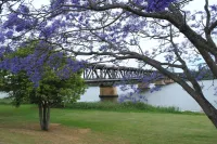 Fitzroy Motor Inn Hotels in South Grafton