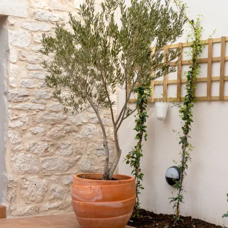 Holiday Home Rocca