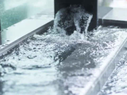 富士山三島 東急ホテル 三島のホテル