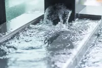 Fujisan Mishima Tokyu Hotel Hotels in Mishima