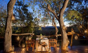 Madikwe Safari Lodge