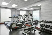 Fairfield Inn & Suites Knoxville Turkey Creek - Gym
