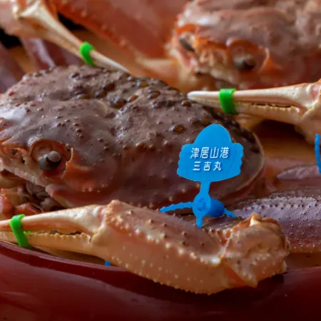 Sensui