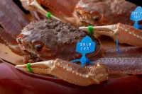 城崎温泉 泉翠 - 朝食