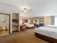 Comfort Inn & Suites Near Fallon Naval Air Station Các khách sạn ở Fallon