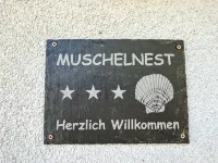 Muschelnest