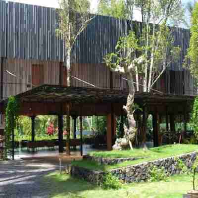 Teras Hotel & Villa Banyuwangi Hotel Exterior