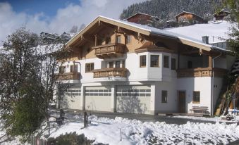 Apartment in Mittersill Near Kitzbuhel Ski Area