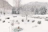Alpenpalace Luxury Hideaway & Spa Retreat Hotels in Campo Tures
